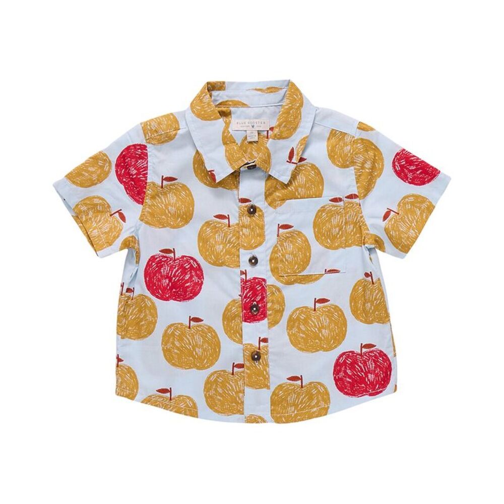 Pink Chicken Boys  Boys Jack Shirt, Multi